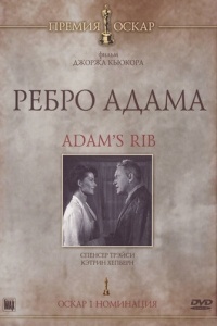 Ребро Адама