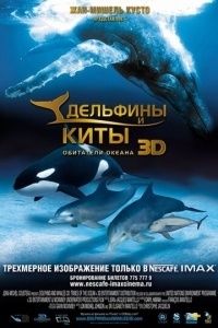 Дельфины и киты 3D